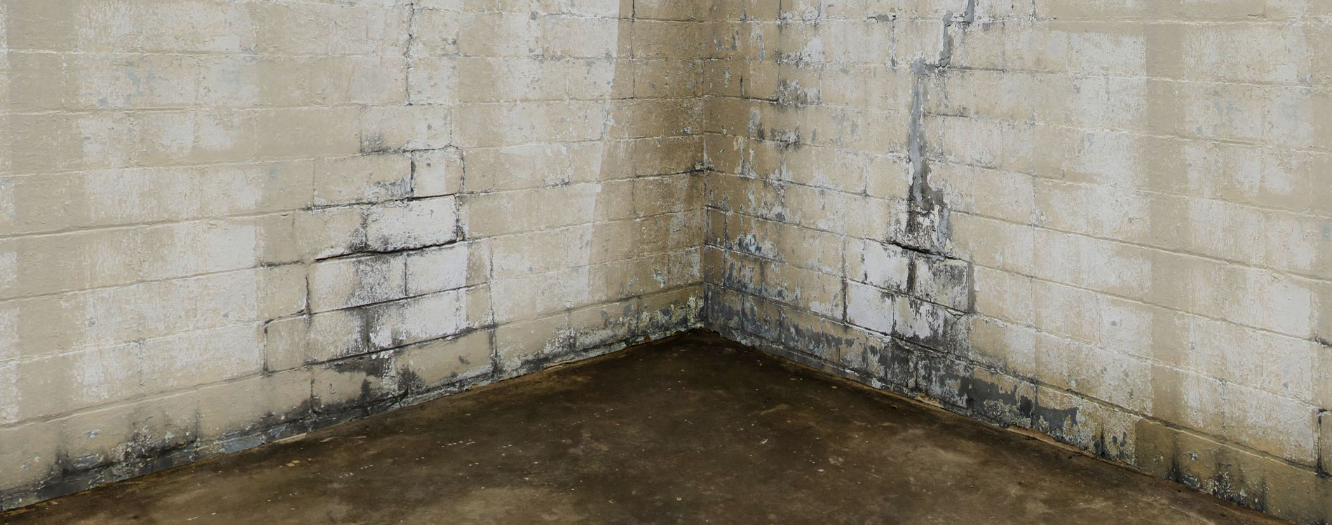 AquaGuard Systems Inc. | Waterproofing Services Pittsburgh